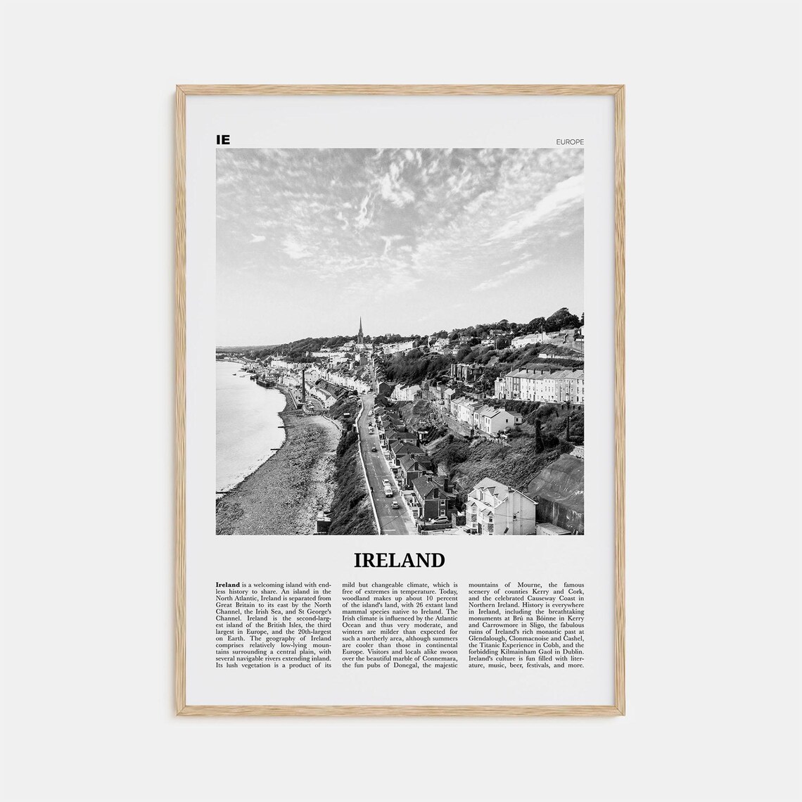 Ireland Black and White No. 2 Travel Poster, Dublin