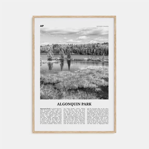 Algonquin Park Black and White Wall Art Print
