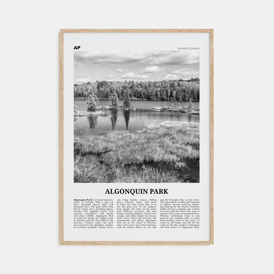Algonquin Park Black and White Wall Art Print
