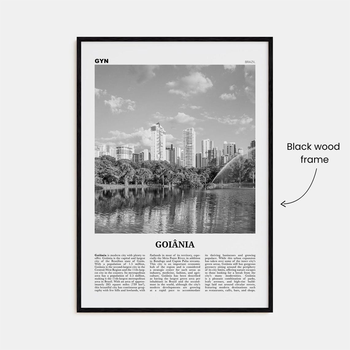 Goiania Black and White Travel Poster, Brazil - Image 3