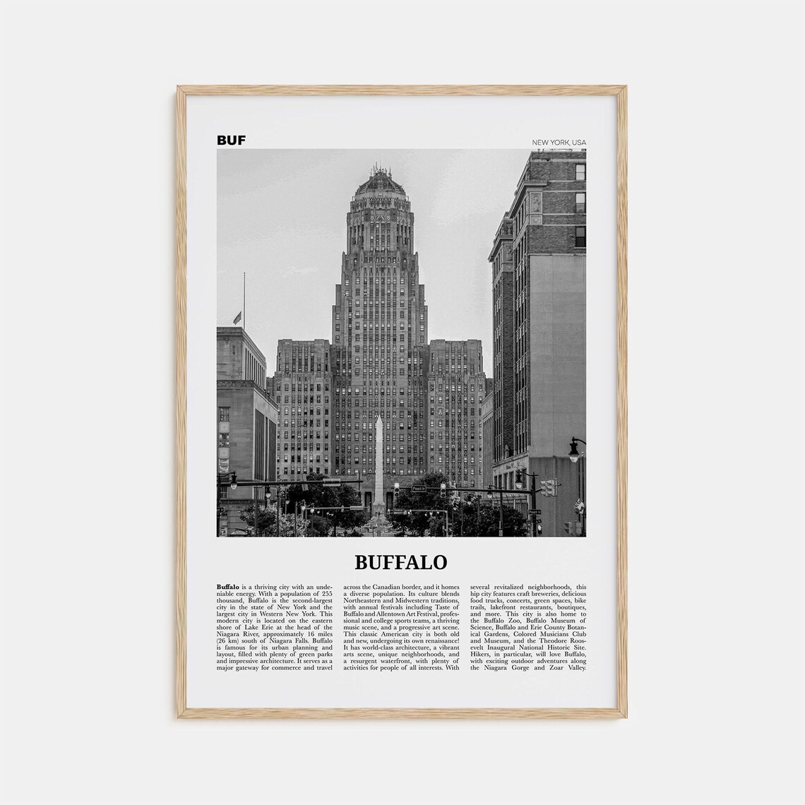 Buffalo Black and White Travel Poster, New York