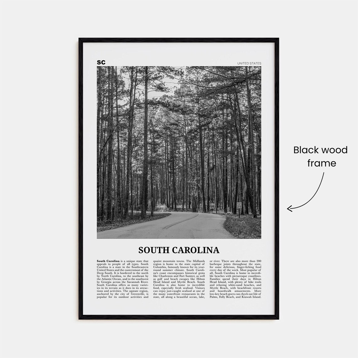 South Carolina Black And White Poster, USA Photo - Image 3