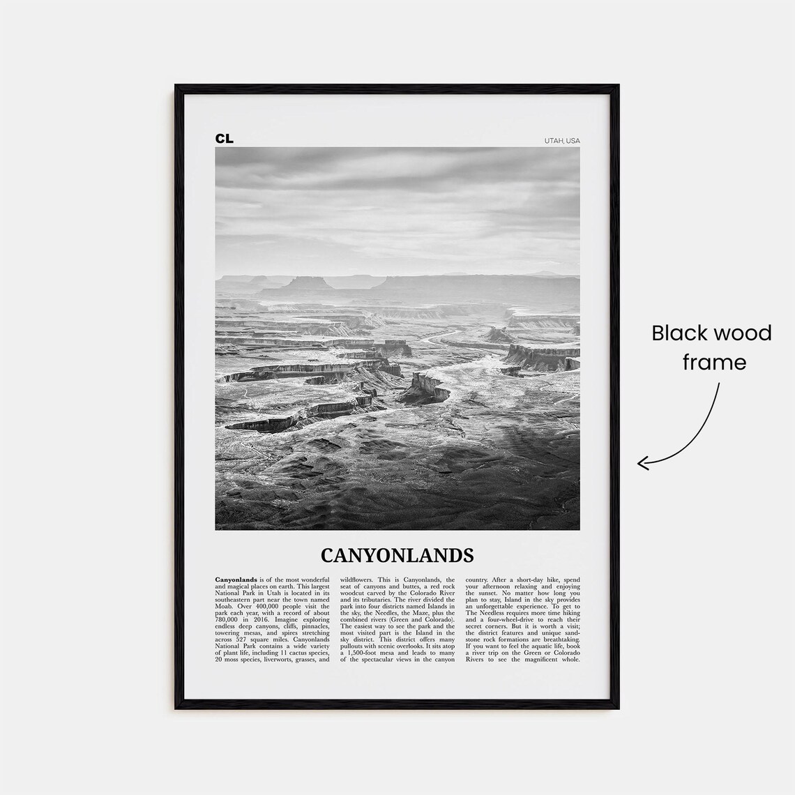 Canyonlands National Park Black and White Travel Poster - Image 3
