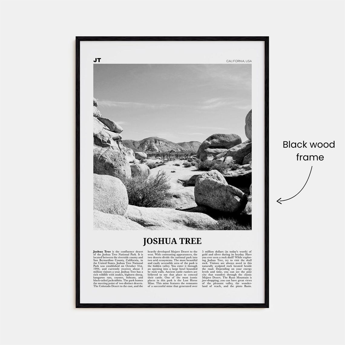 Joshua Tree National Park Black And White Photo Art Print - Image 3