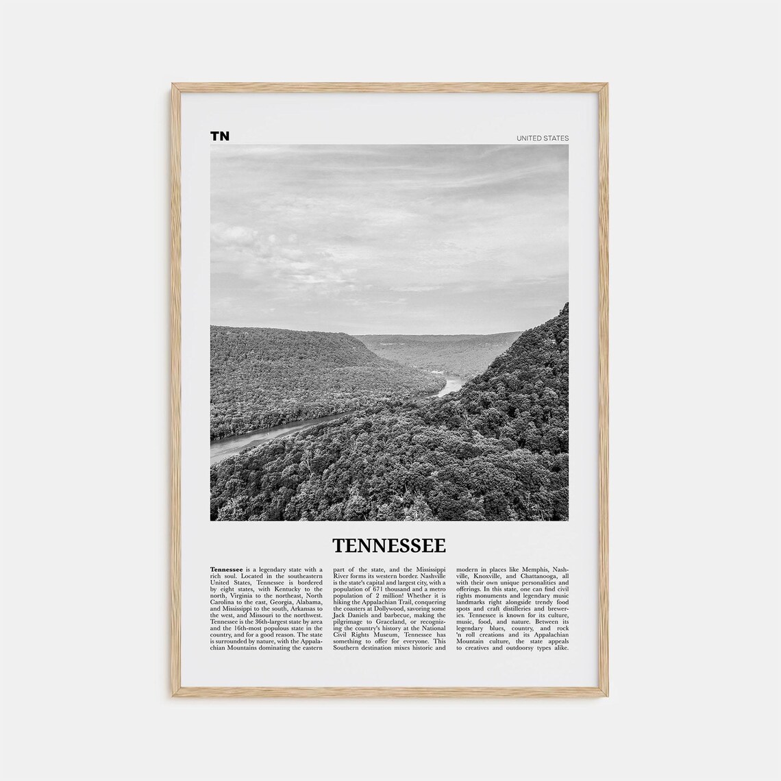 Tennessee Black and White No. 1 Travel Poster