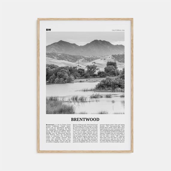 Brentwood Black and White Travel Poster, California