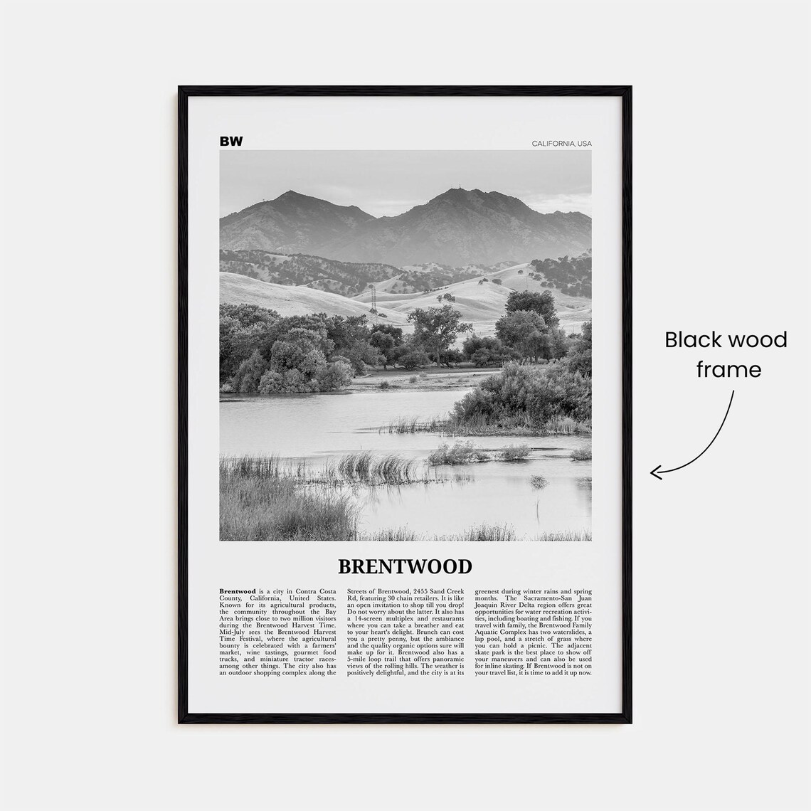 Brentwood Black and White Travel Poster, California - Image 3