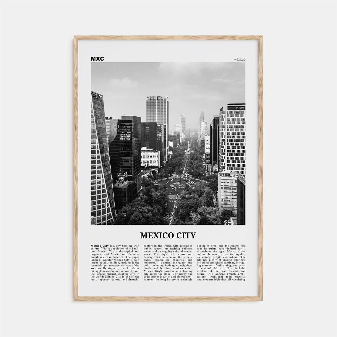 Mexico City Black and White Travel Wall Art Print