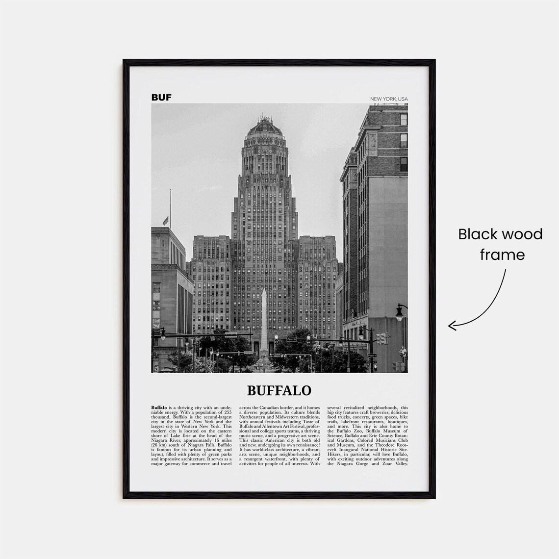 Buffalo Black and White Travel Poster, New York - Image 3