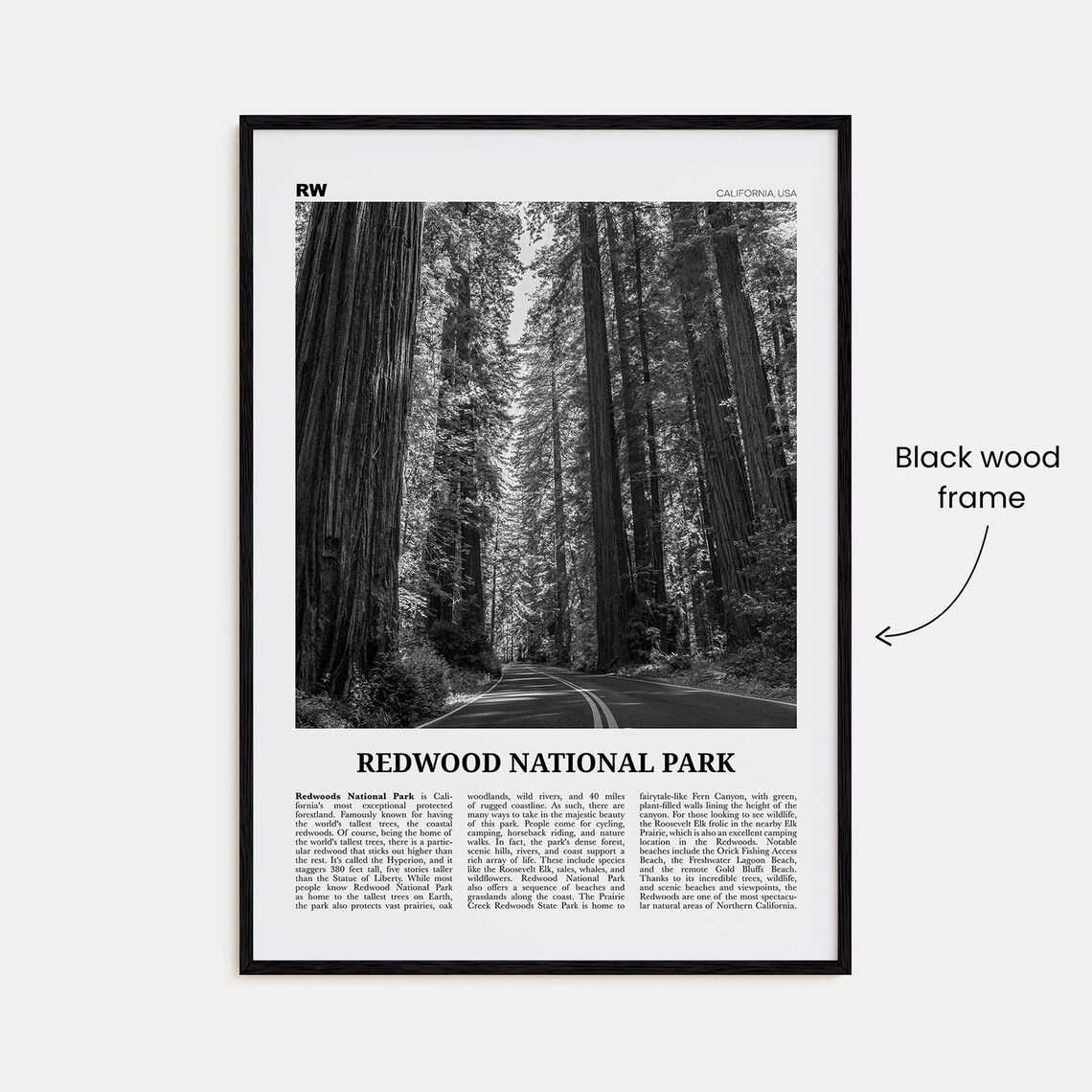 Redwood National Park Black and White Travel Poster - Image 3