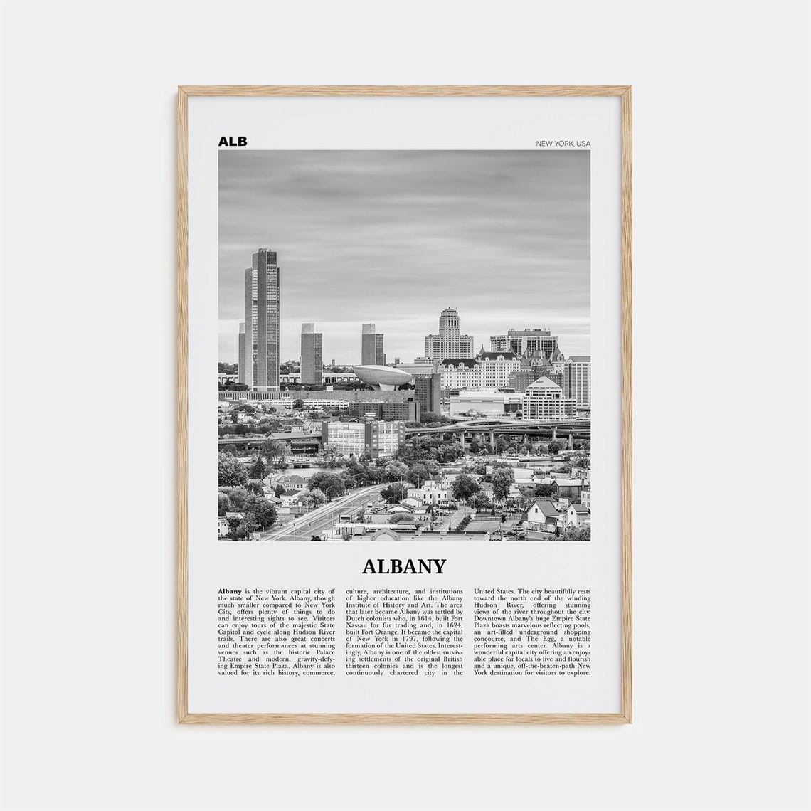Albany New York Black and White Travel Poster