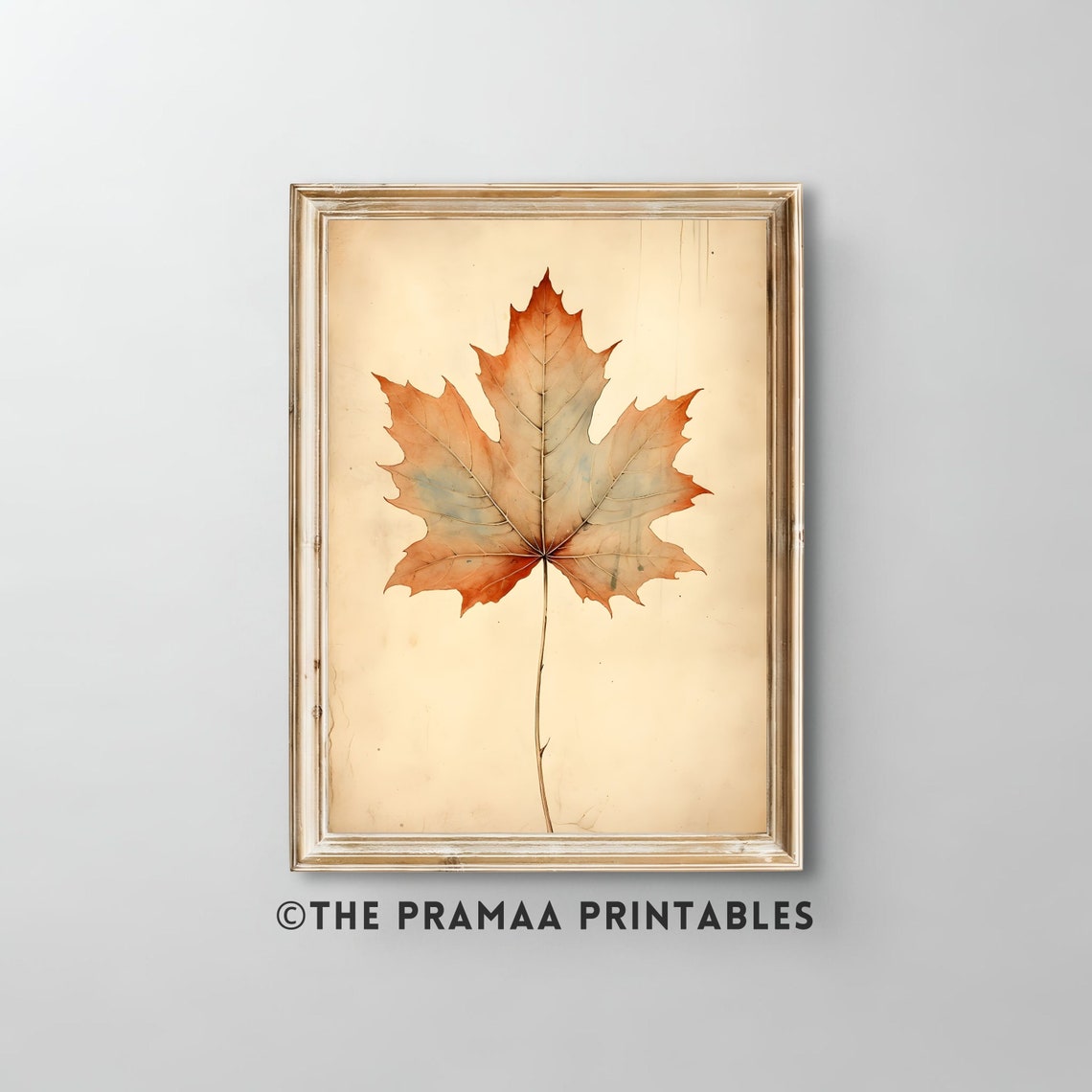 Single Autumn Maple Leaf Watercolor Botanical Minimalist Poster