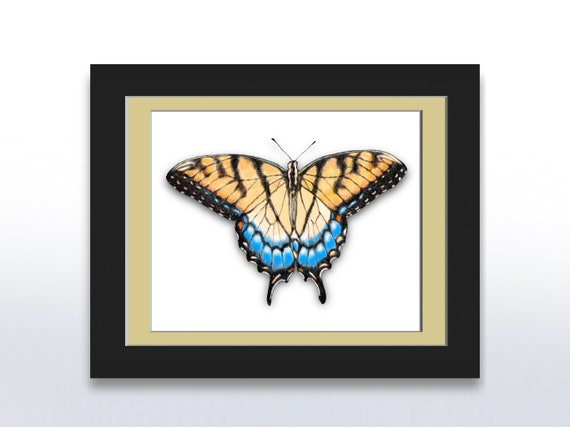 Wireframe Swallowtail Butterfly Yellow And Black On White Background Colorful Detailed Wall Art Instant