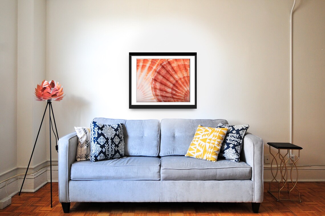 Seashells Photo, Ocean Vacation Seashore Image - Image 5