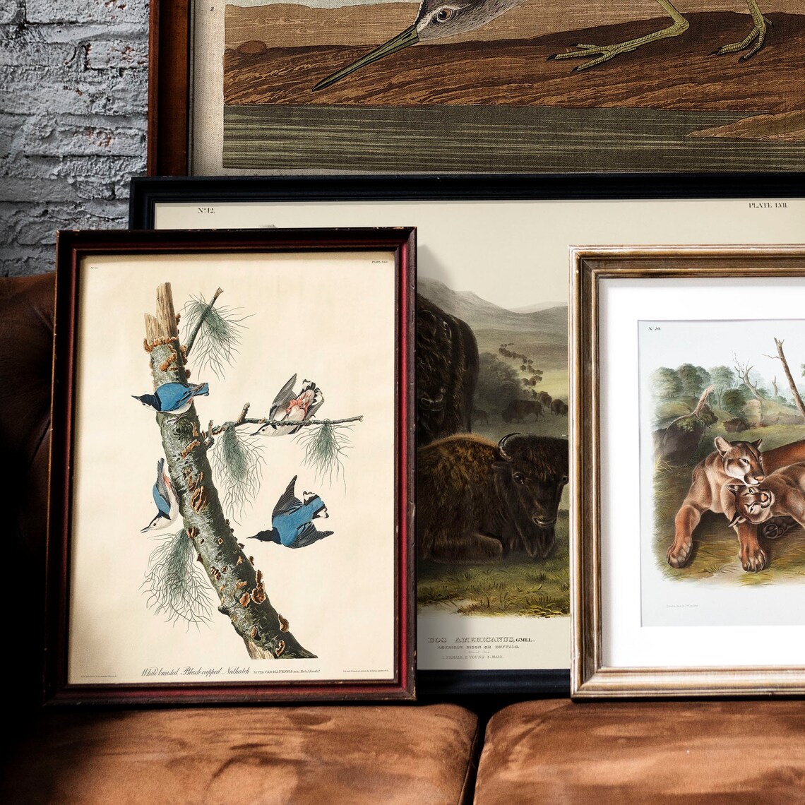 Nuthatch Antique Bird Painting Vintage Art Print - Image 2