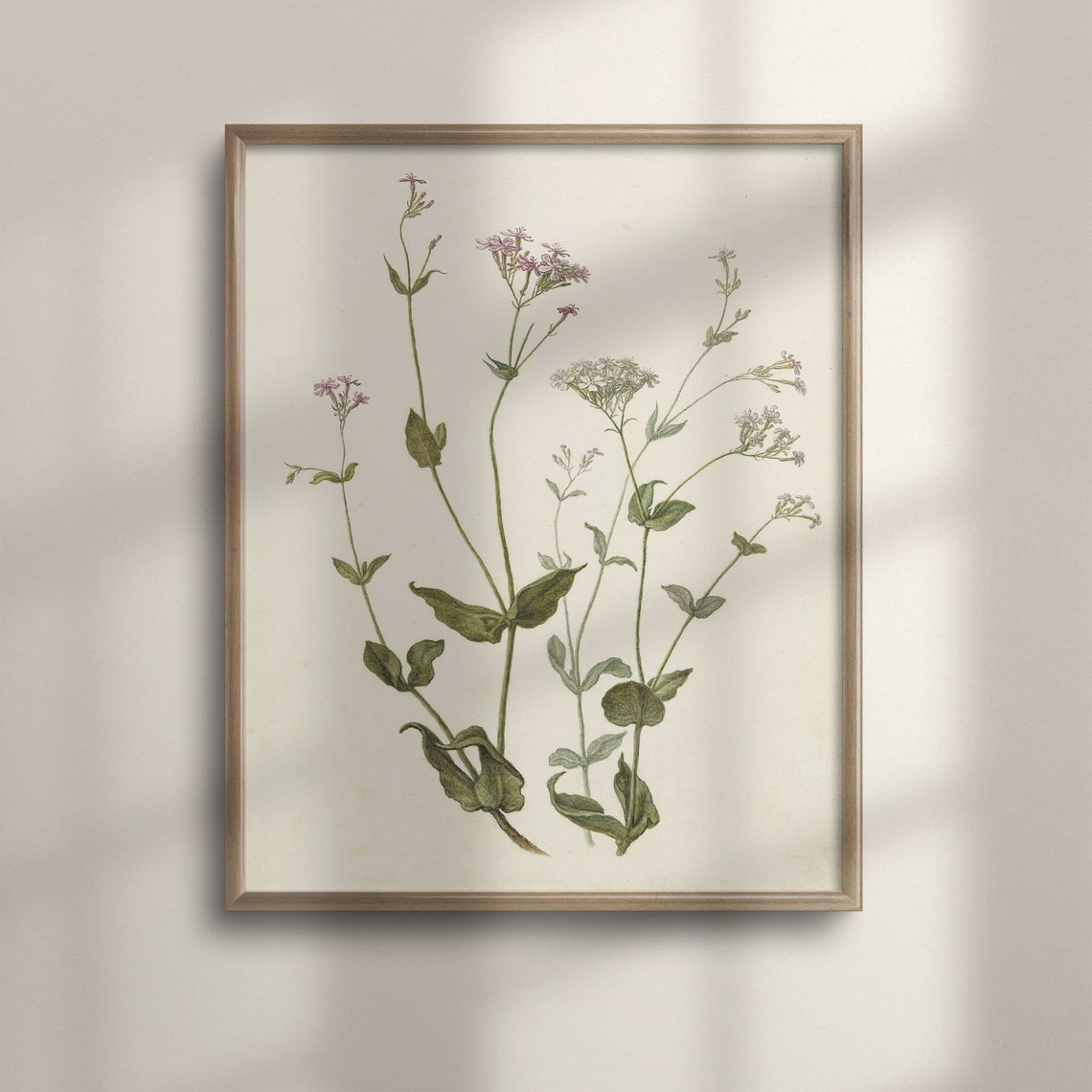 Delicate Wildflowers Vintage Botanical Illustration Cream Poster
