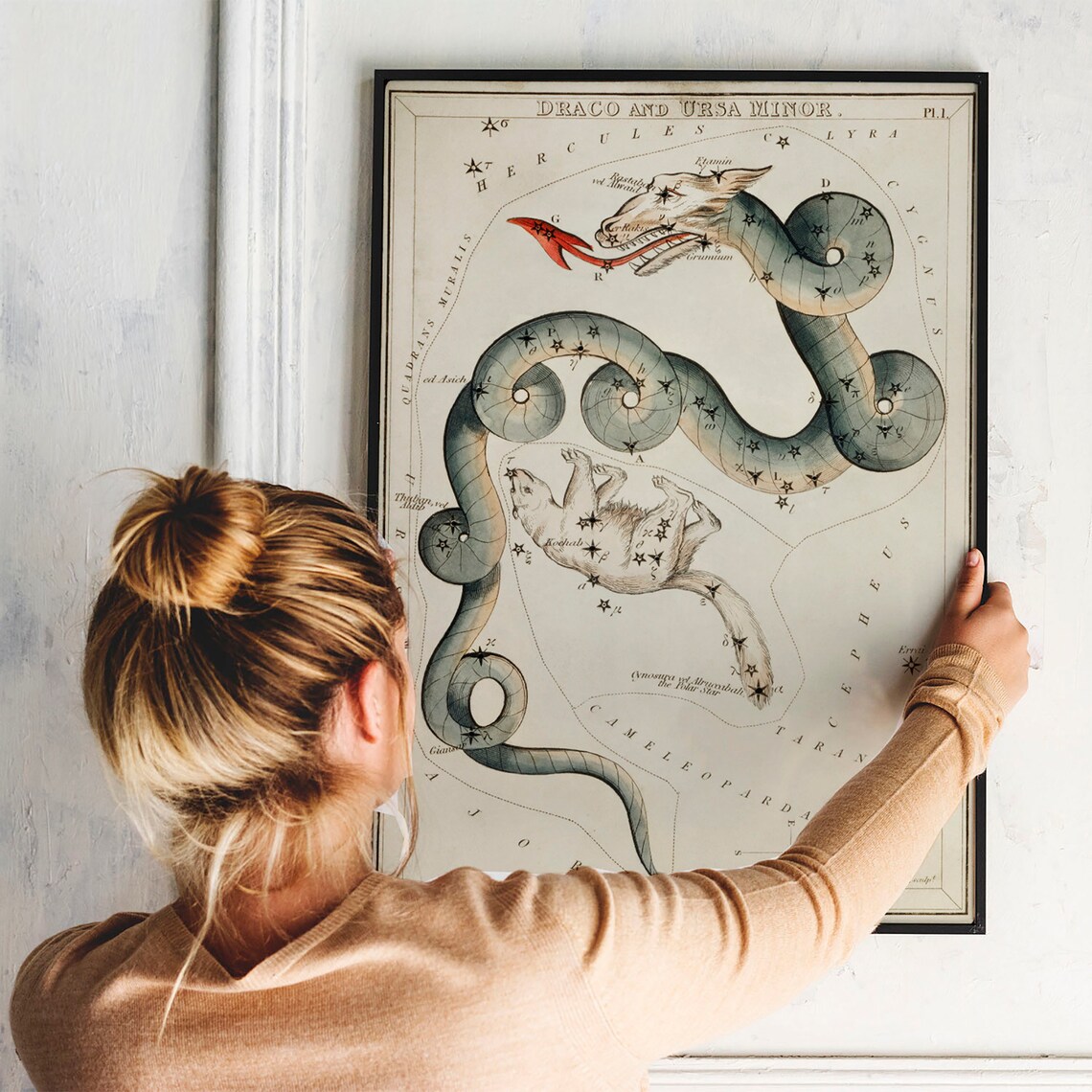 Draco Vintage Space Drawing Poster Print - Image 3