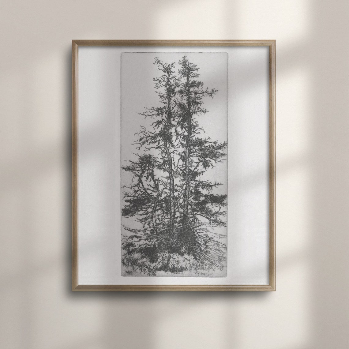 Vintage Pine Tree Etching Black Ink Sketch Rustic Nature Poster