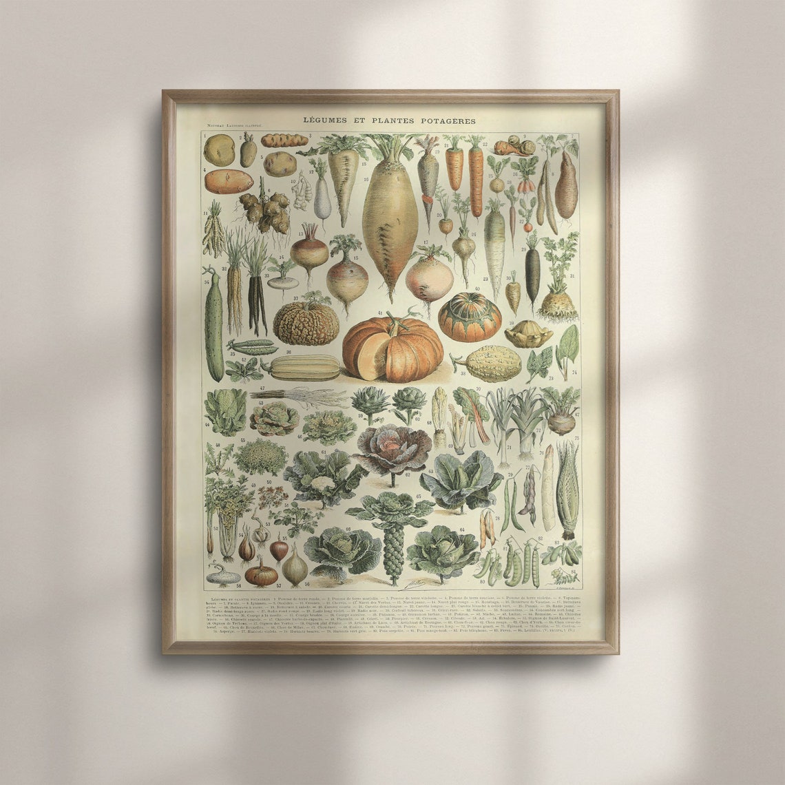 Adolphe Millot Vegetable Chart Vintage French Kitchen Garden Poster