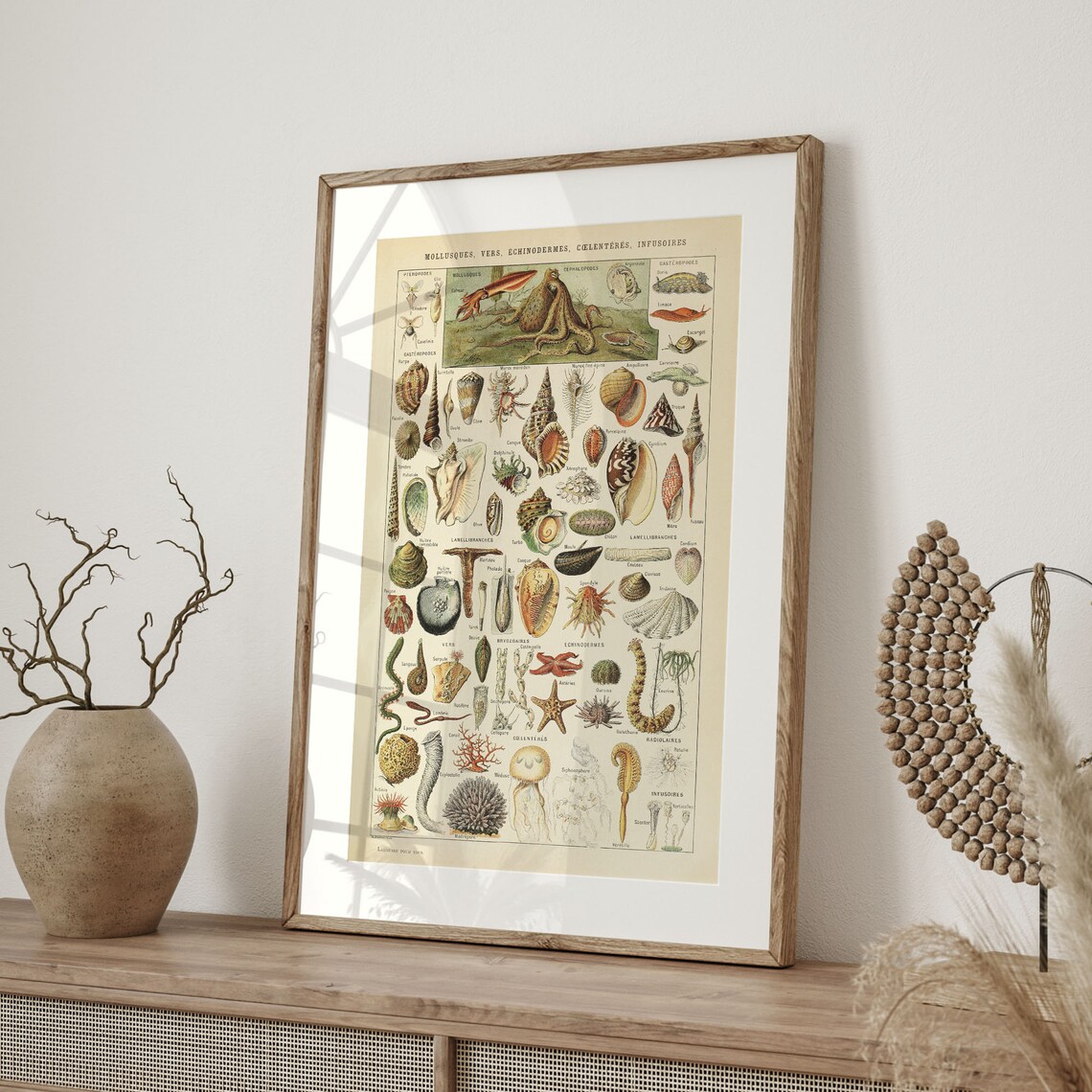 Adolphe Millot Mollusc Vintage Sea Life Poster - Image 4