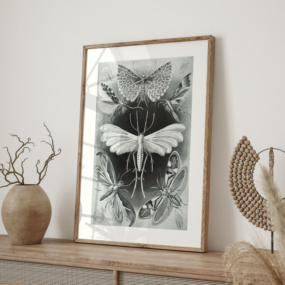 Ernst Haeckel Moth Illustration Vintage Scientific Insect Art Poster - Image 4