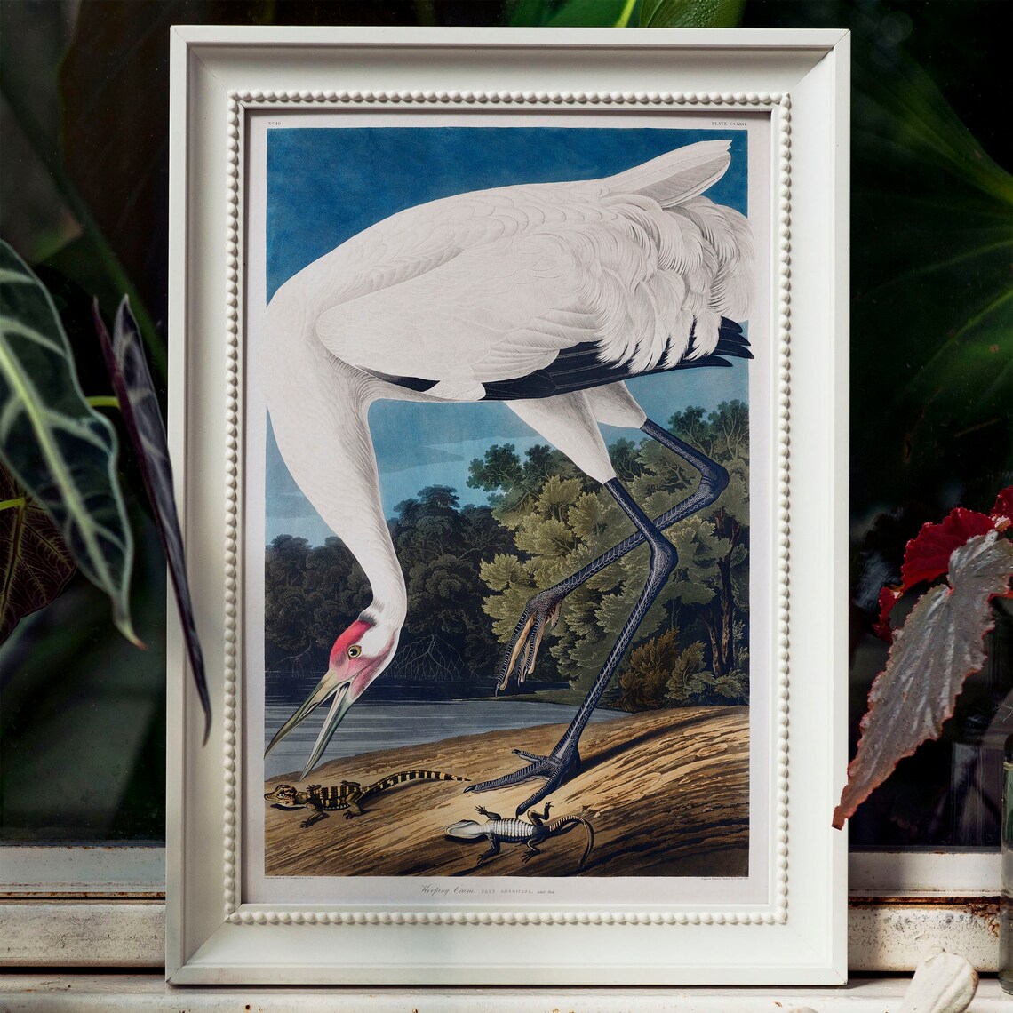 Crane Print, Vintage Bird Drawing Poster - Image 4