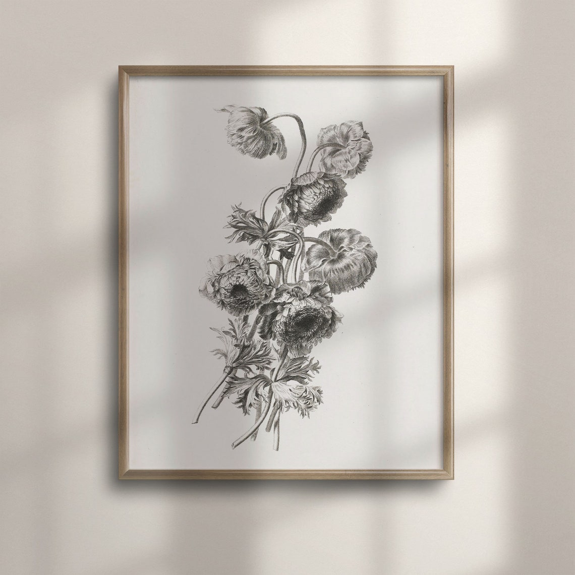 Black and White Poppy Sketch Vintage Botanical Flower Drawing Poster