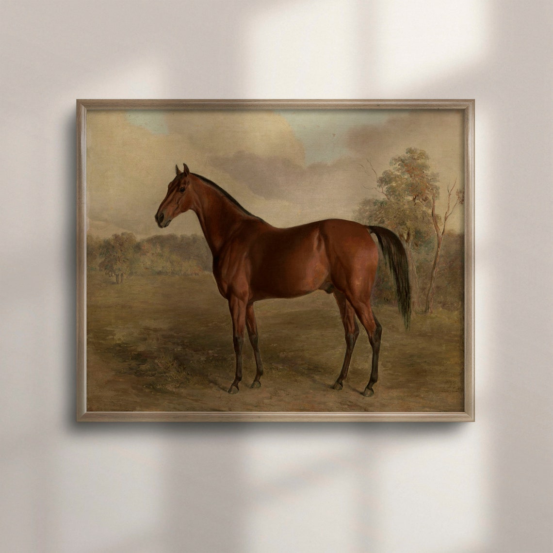 Vintage Bay Horse Portrait Field Equestrian Rustic Art Poster