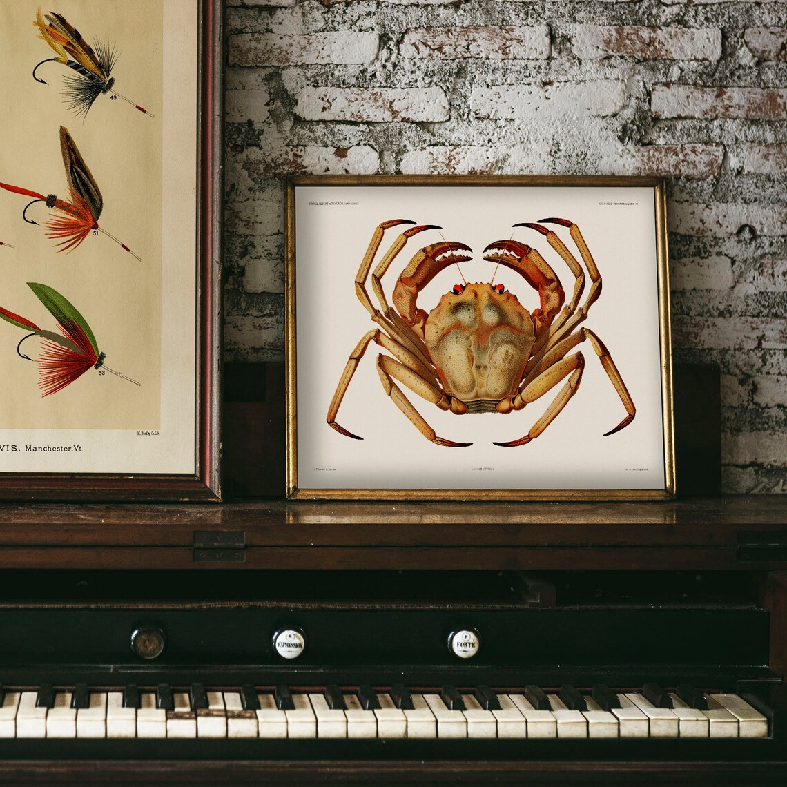 Vintage Crab and Fish Poster, Deep Sea Decor - Image 4