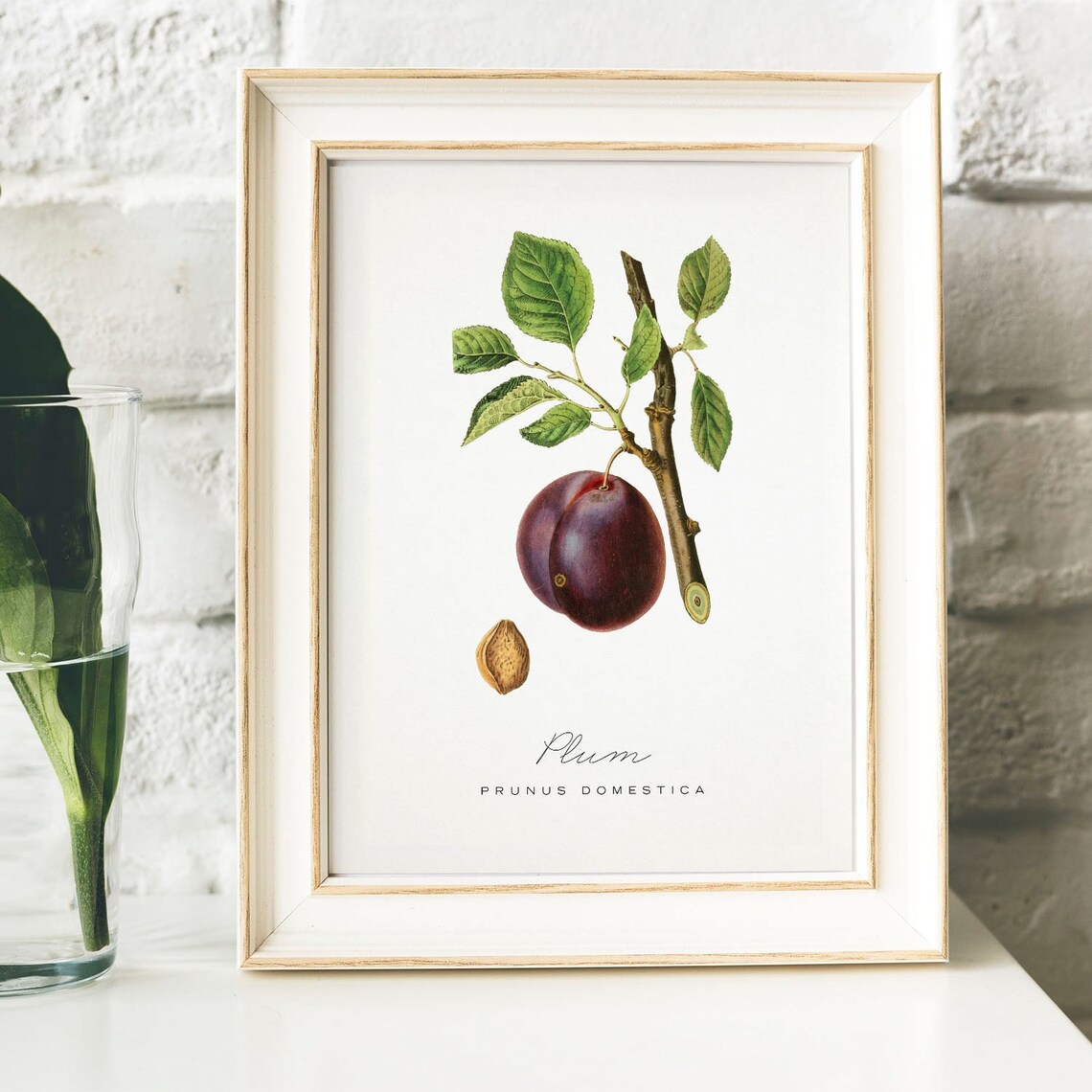 Plum Print Vintage Kitchen Art Print, Kitchen Decor