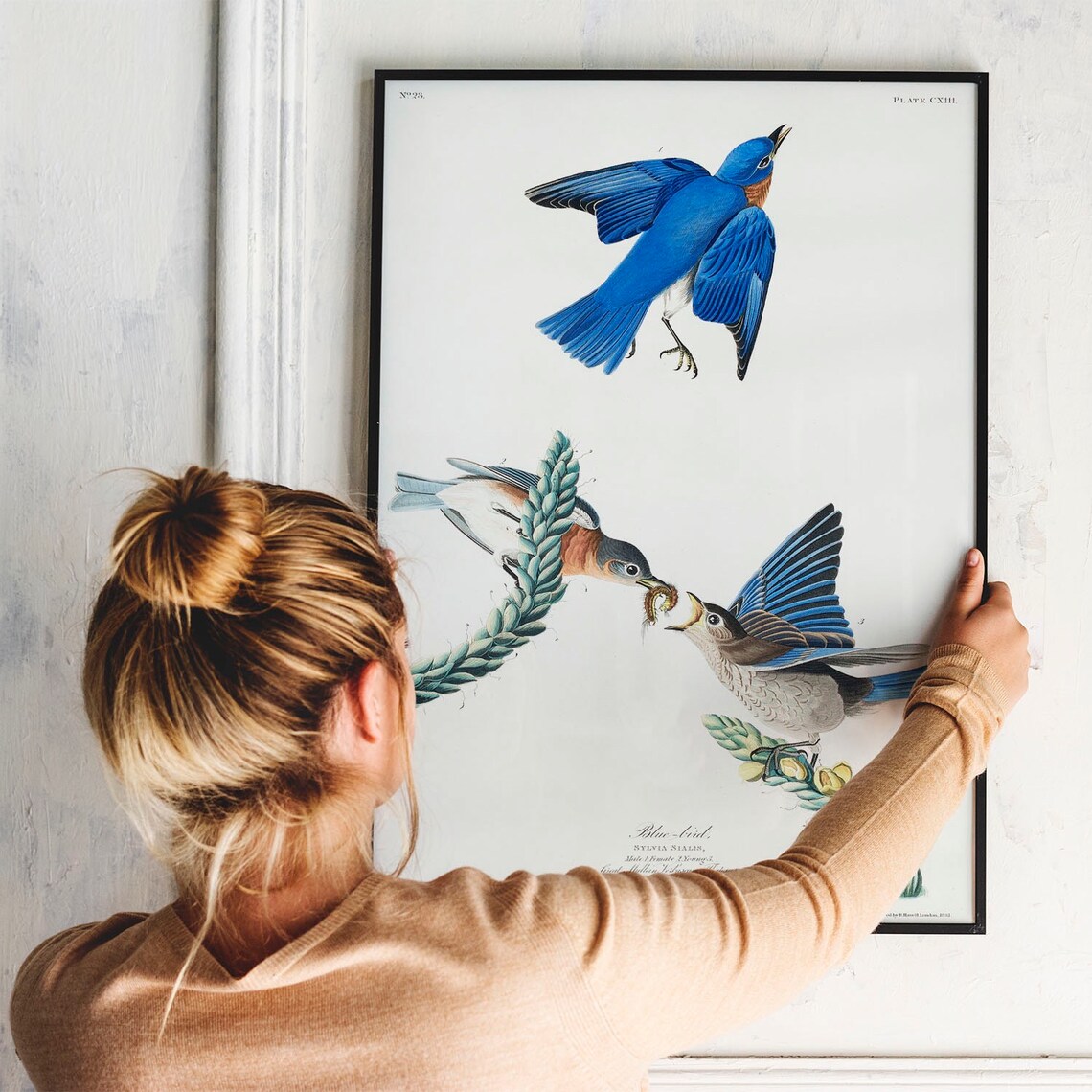 Blue Bird Antique Bird Painting Vintage Art Print - Image 3