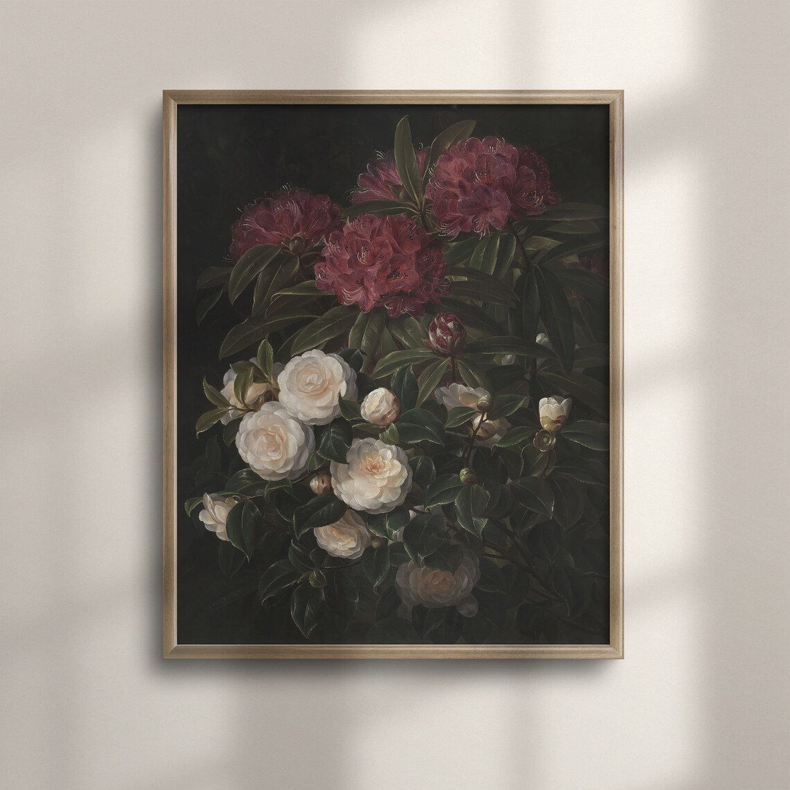 Dark Moody Still Life White Camellias Red Blooms Antique Floral Poster