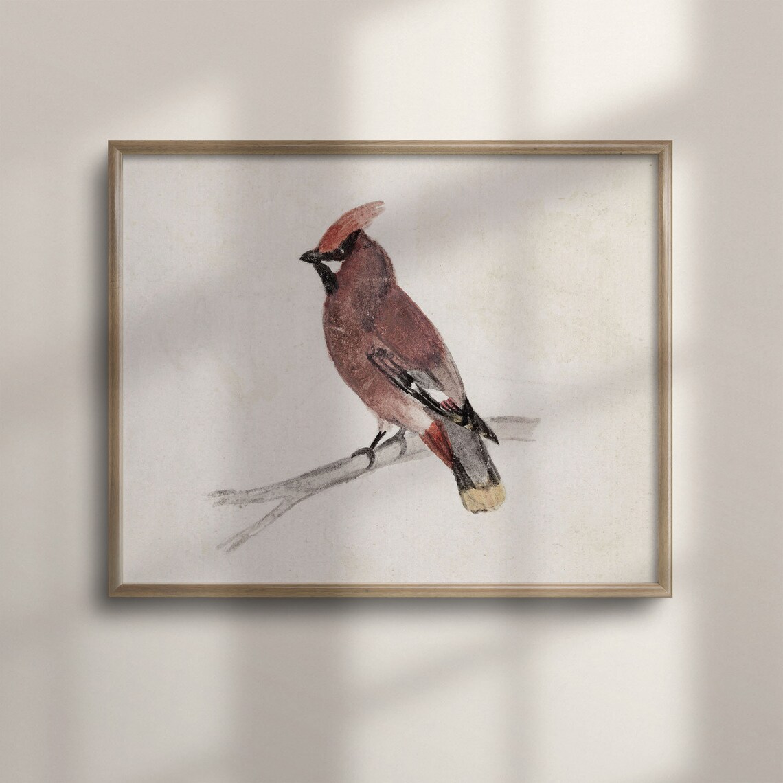 Bohemian Waxwing Watercolor Songbird Minimalist Painting Poster