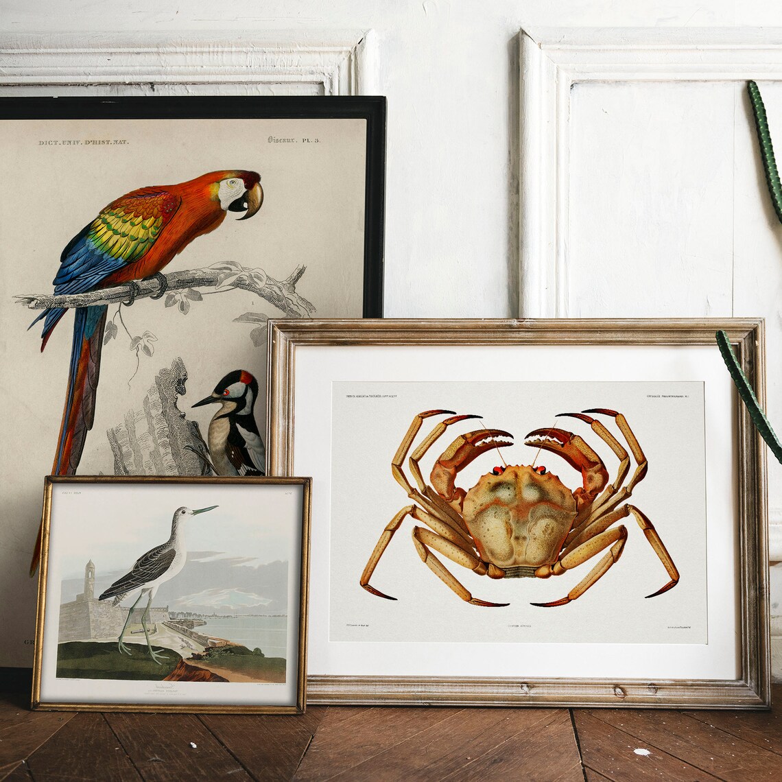 Vintage Crab and Fish Poster, Deep Sea Decor - Image 2