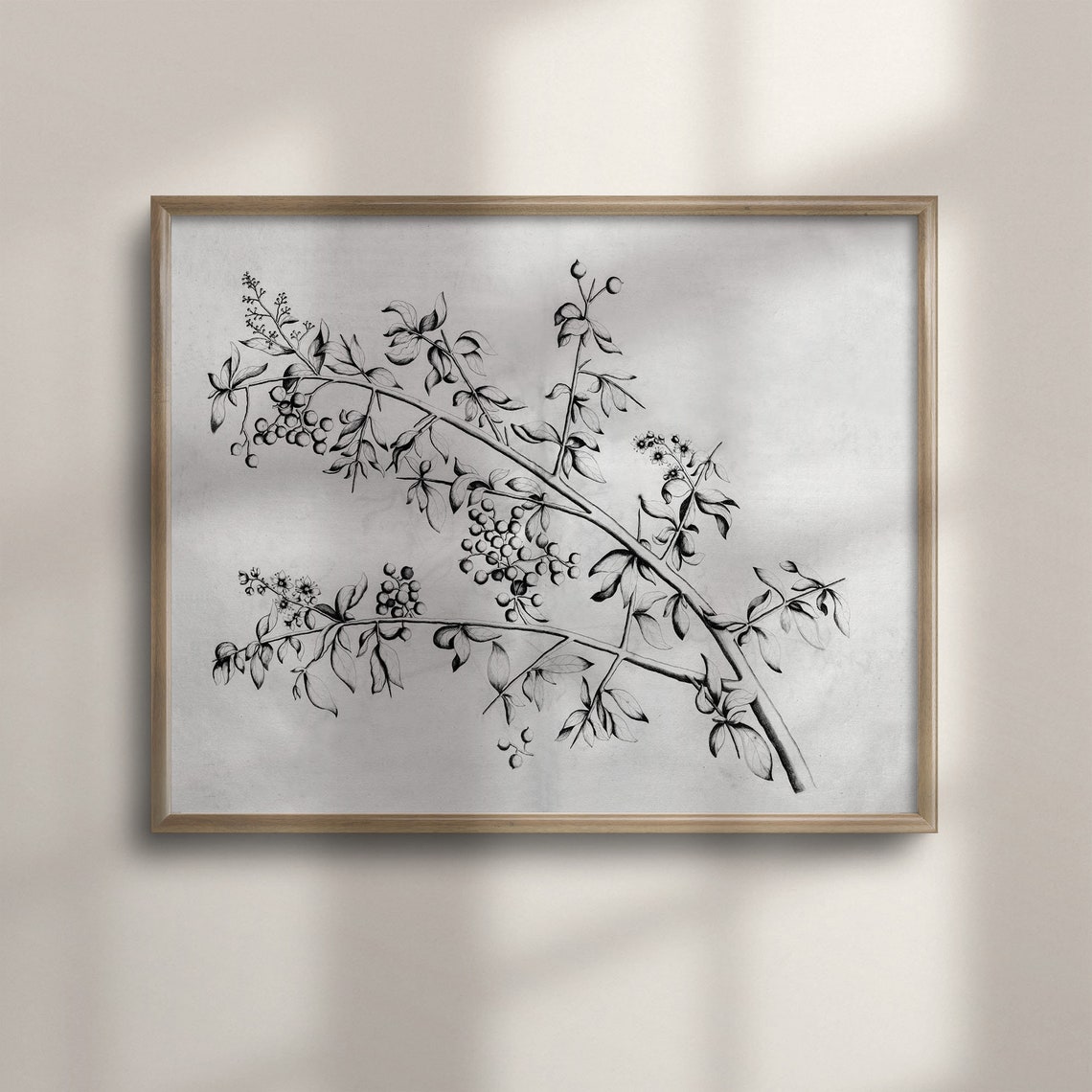 Wild Berry Branch Botanical Line Engraving Vintage Art Poster