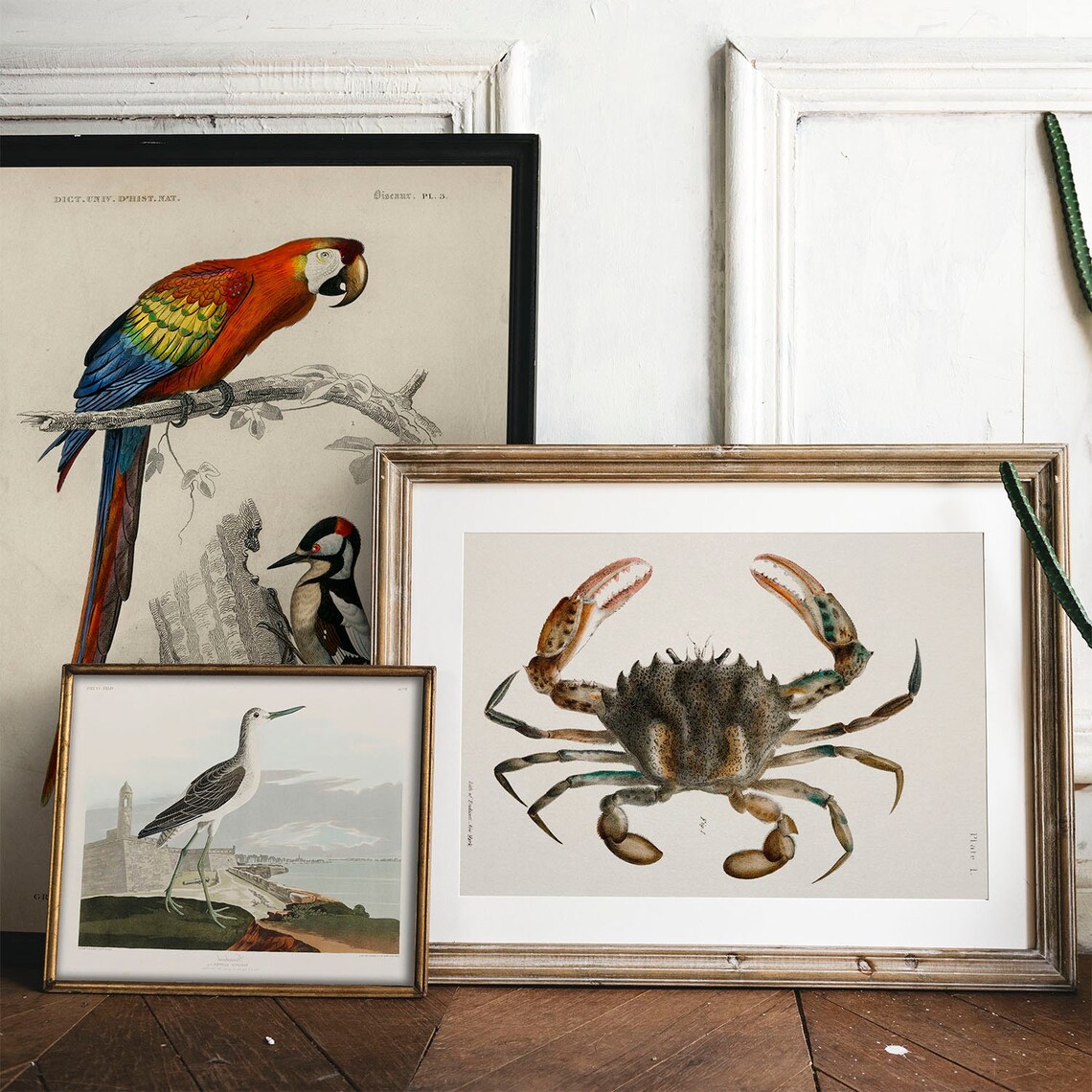 Vintage Crab Illustration Art Print, Fishing Decor - Image 2