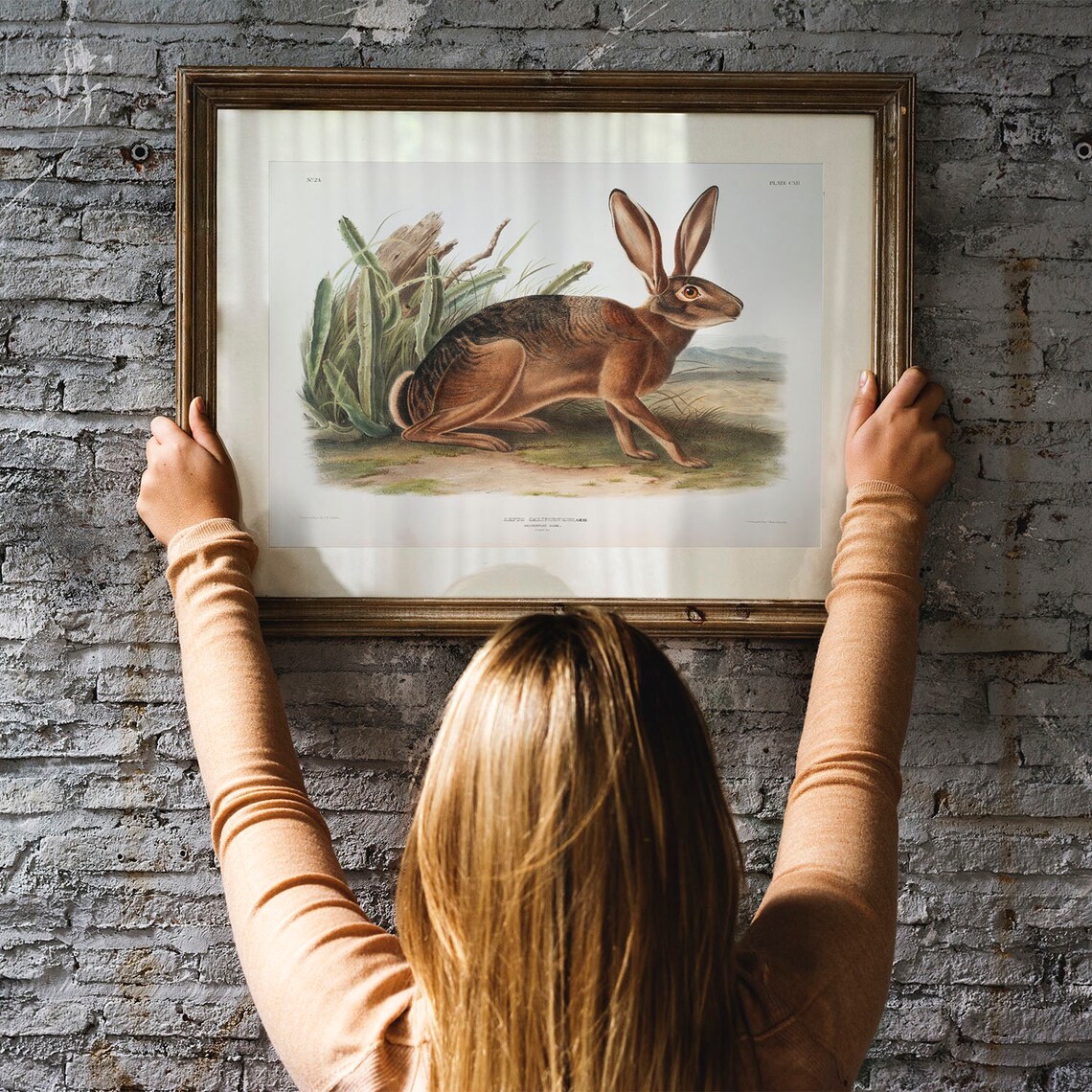 Antique Hare Vintage Animal Poster Print - Image 3