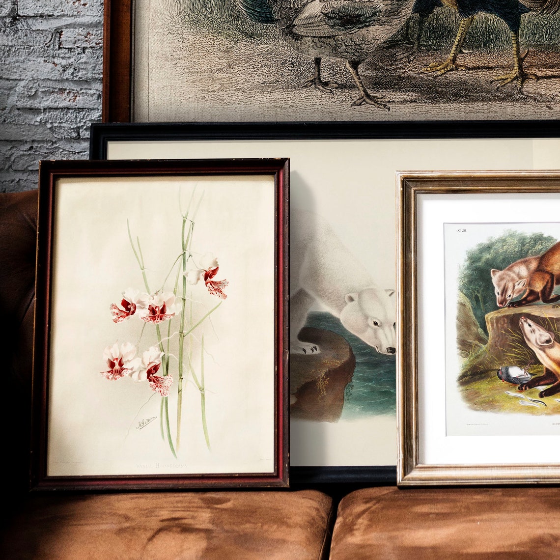 Vintage Vanda Orchid Botanical Illustration Delicate Floral Art Poster - Image 3