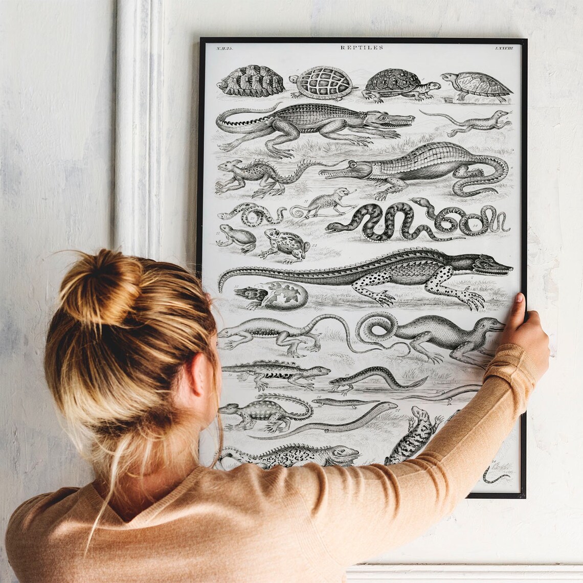Reptile Collection Antique Animal Vintage Art Print - Image 2