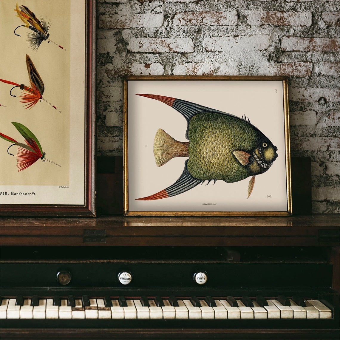 Angelfish Fish Print Vintage Fishing Poster Wall Art Decor Pterophyllum Gift For Dad Fisherman Fishing Poster Art Vintage Fishing Coo30 - Image 4