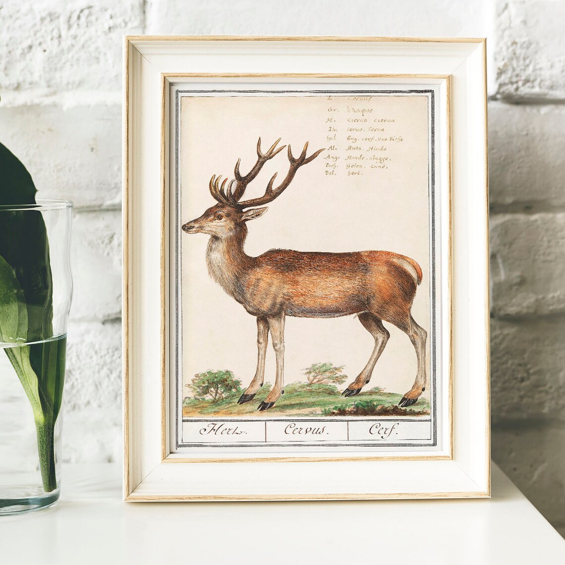 Deer Antique Space Painting Vintage Poster Print - Image 2