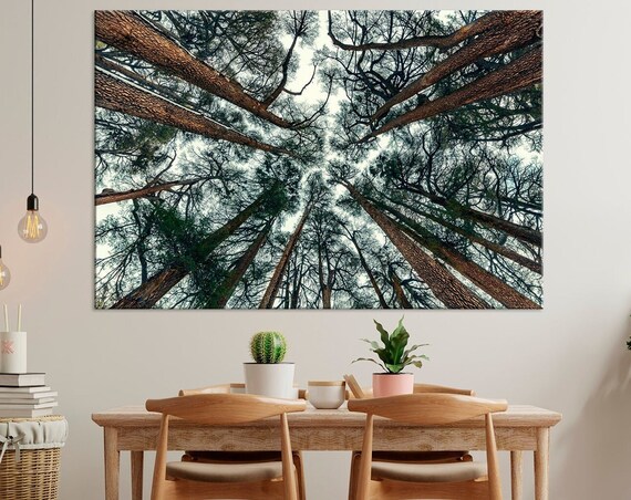 Forest Print Forest Landscape Wall Art Green Forest Art Trees Print Nature Sky Forest Art Living Room Decor Large Wall Art