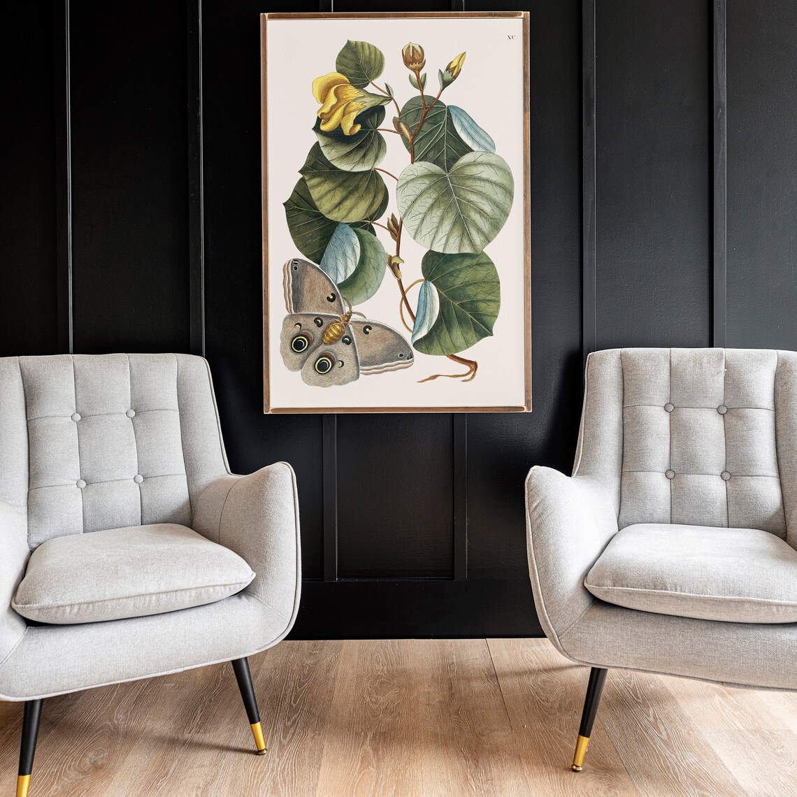 Moth Botanical Illustration Art Print, Living Room - Image 2