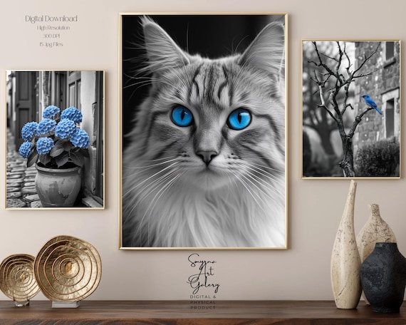 Blue Cat Bird Hydrangea Set of 3 Selective Color Photo Poster