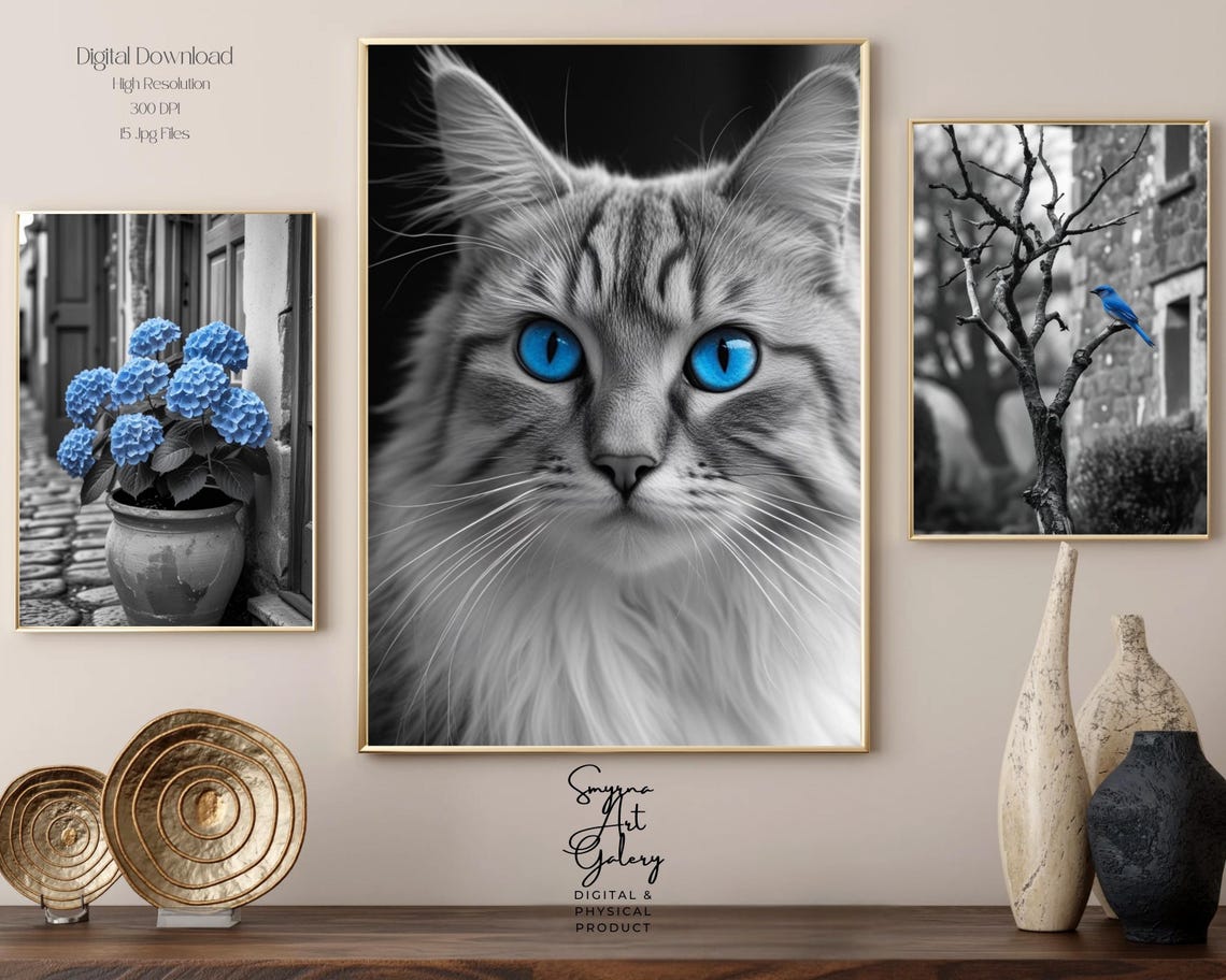 Blue Cat Bird Hydrangea Set of 3 Selective Color Photo Poster
