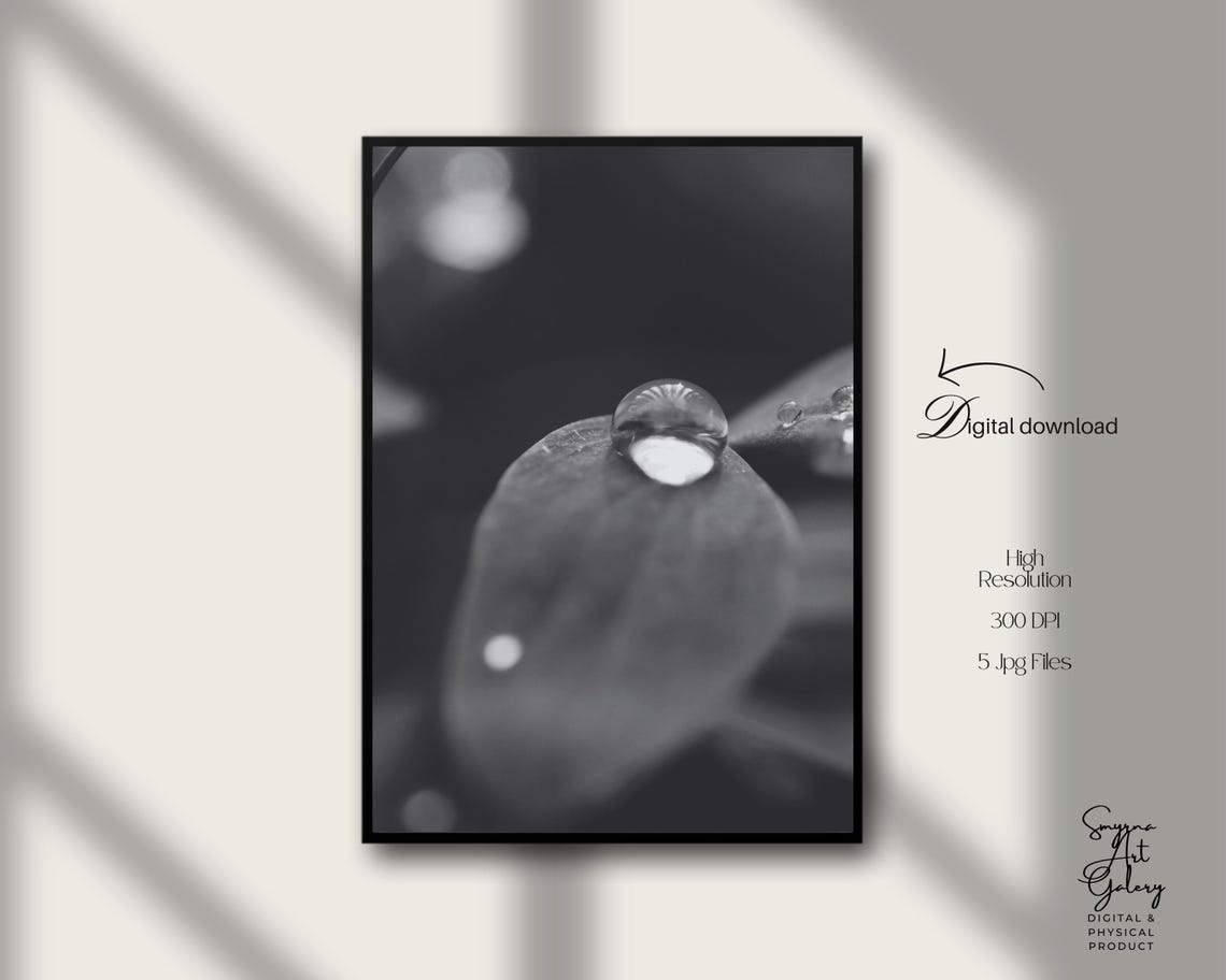 Raindrop Macro On Dark Leaf Monochrome Botanical Photography Poster