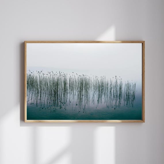 Minimalist Lake Reeds Photography Calm Blue Water Reflection Wall Art Tranquil Nature Decor Separation