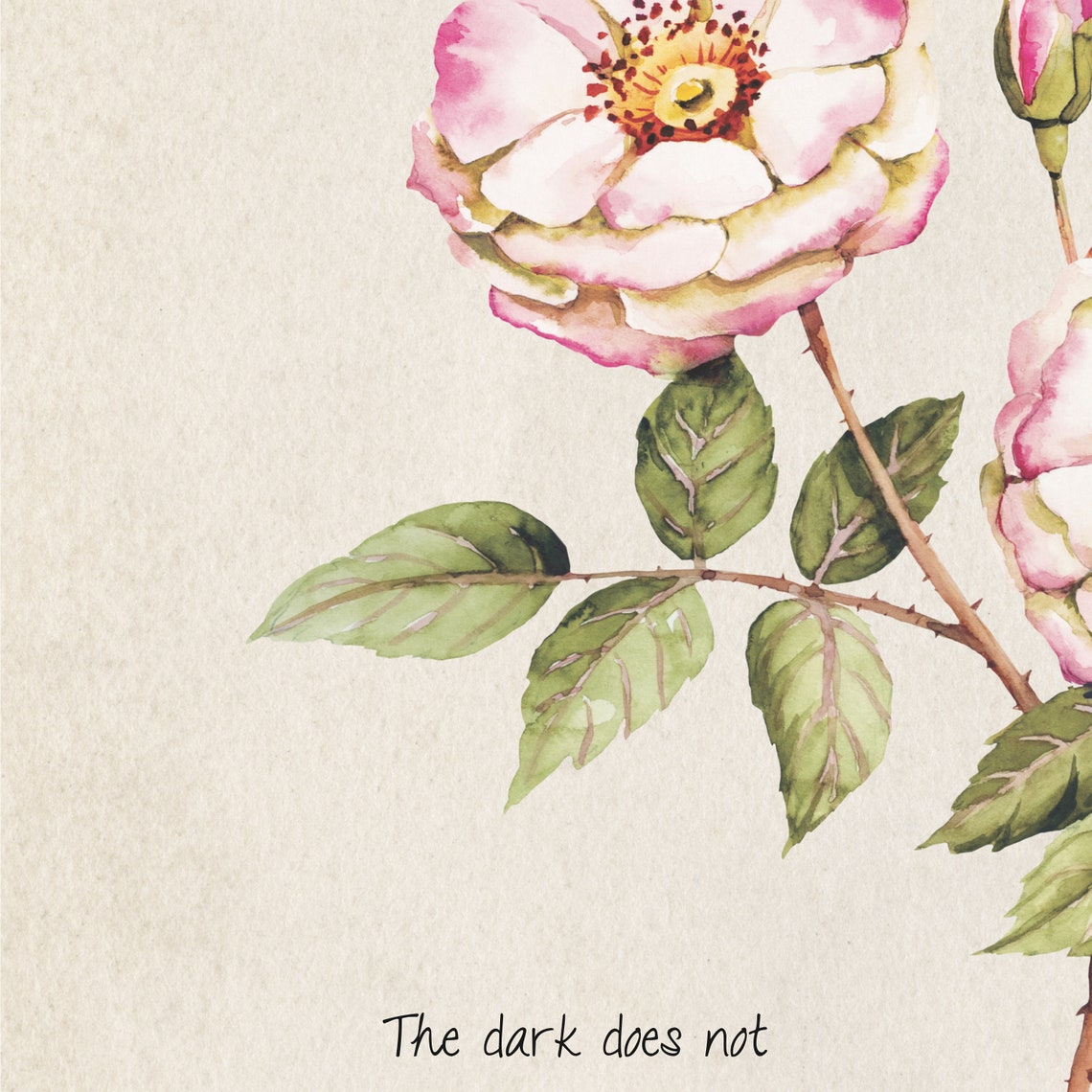 Watercolor Pink Rose The Dark Does Not Botanical Quote Art Poster