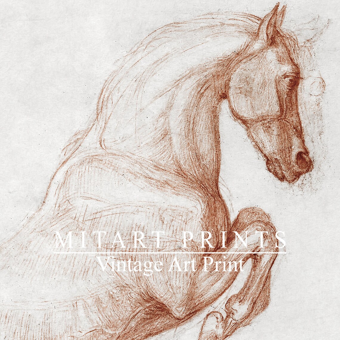 Vintage Horse Sketch, Rustic Farmhouse Art Print - Image 2