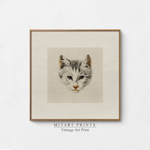 Vintage Tabby Kitten Face Drawing Minimalist Cat Head Art Poster
